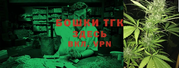 дживик Карпинск