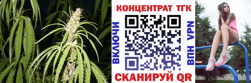Купить закладки  Аргун  ТГК вейп 