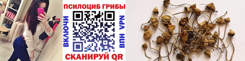 Псилоцибиновые грибы ЛСД  Купить где  Аргун 